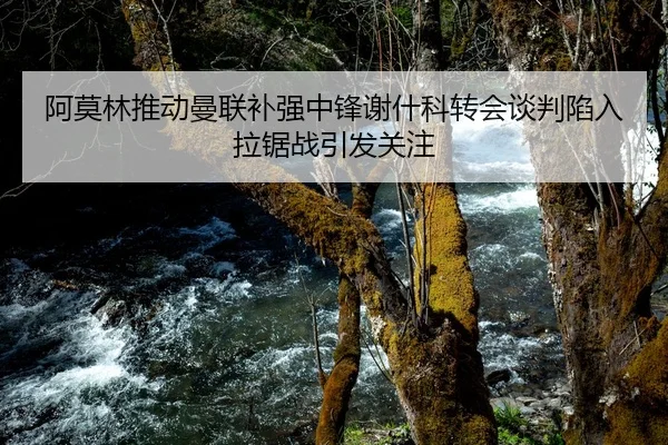 阿莫林推动曼联补强中锋谢什科转会谈判陷入拉锯战引发关注 - Kaiyun FIFA WorldCup