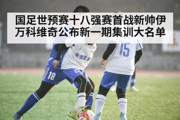 国足世预赛十八强赛首战新帅伊万科维奇公布新一期集训大名单