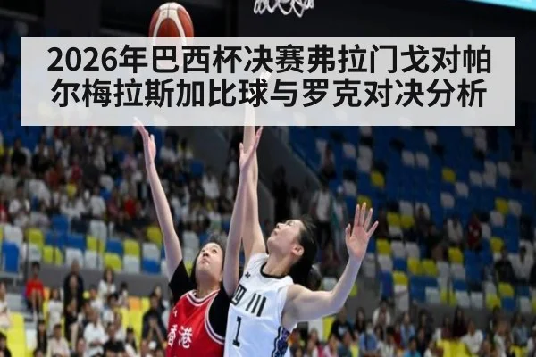 2026年巴西杯决赛弗拉门戈对帕尔梅拉斯加比球与罗克对决分析